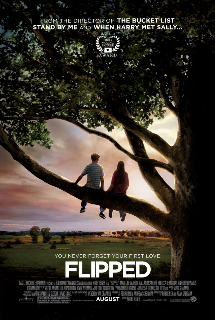 flipped image