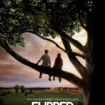 Filpped image